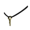 Key collar icon