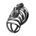 chastity_cage.png