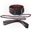 pup_collar.png